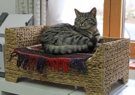 5fb0e902dcbcde853640d26268c11d63